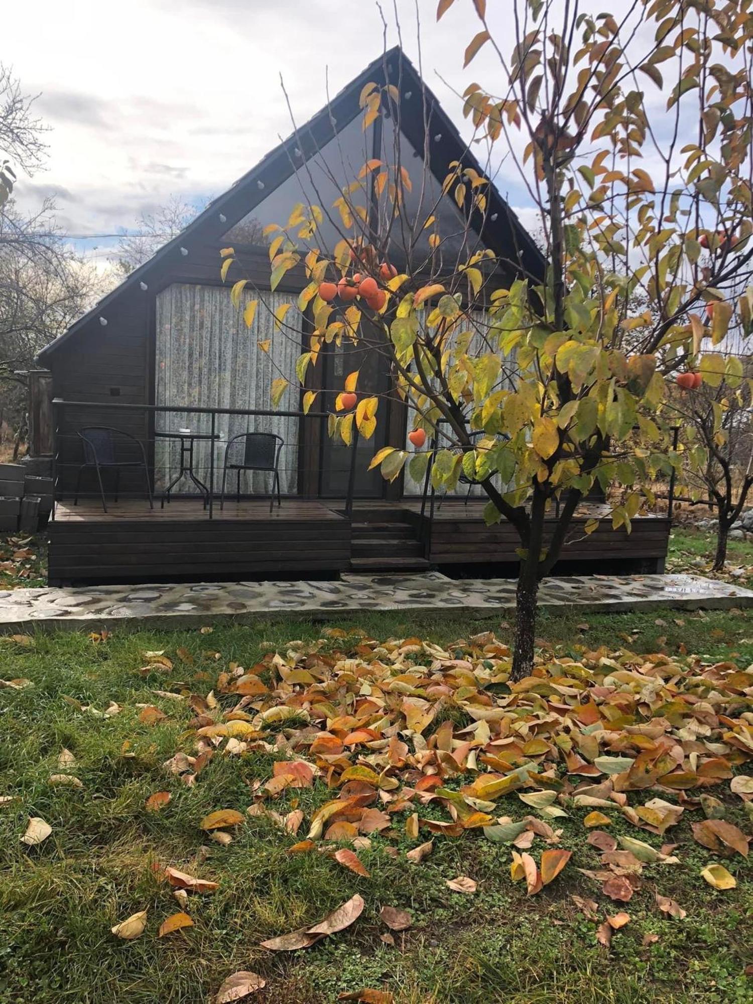 Wood House Lagodekhi Buitenkant foto